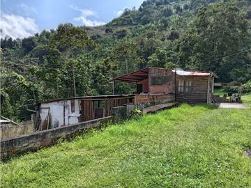 FINCA EN VENTA EN ALTO BONITO MANIZALES | VENTA DE FINCA PRODUCTIVA