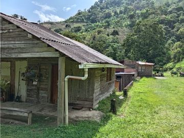 FINCA EN VENTA EN ALTO BONITO MANIZALES | VENTA DE FINCA PRODUCTIVA
