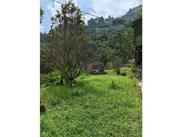 FINCA EN VENTA EN ALTO BONITO MANIZALES | VENTA DE FINCA PRODUCTIVA