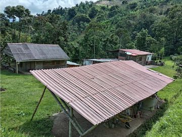 FINCA EN VENTA EN ALTO BONITO MANIZALES | VENTA DE FINCA PRODUCTIVA
