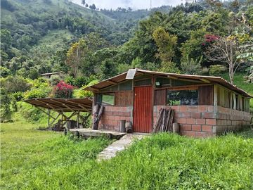 FINCA EN VENTA EN ALTO BONITO MANIZALES | VENTA DE FINCA PRODUCTIVA