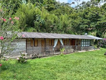 FINCA EN VENTA EN ALTO BONITO MANIZALES | VENTA DE FINCA PRODUCTIVA