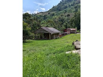 FINCA EN VENTA EN ALTO BONITO MANIZALES | VENTA DE FINCA PRODUCTIVA