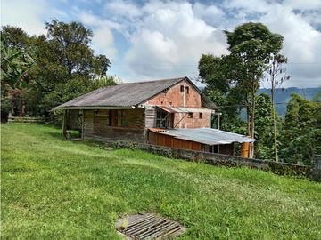 FINCA EN VENTA EN ALTO BONITO MANIZALES | VENTA DE FINCA PRODUCTIVA
