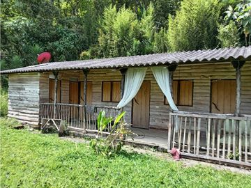 FINCA EN VENTA EN ALTO BONITO MANIZALES | VENTA DE FINCA PRODUCTIVA