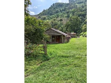 FINCA EN VENTA EN ALTO BONITO MANIZALES | VENTA DE FINCA PRODUCTIVA
