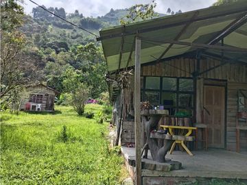 FINCA EN VENTA EN ALTO BONITO MANIZALES | VENTA DE FINCA PRODUCTIVA