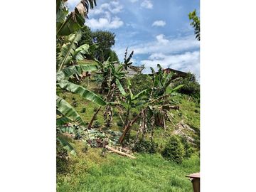 FINCA EN VENTA EN ALTO BONITO MANIZALES | VENTA DE FINCA PRODUCTIVA