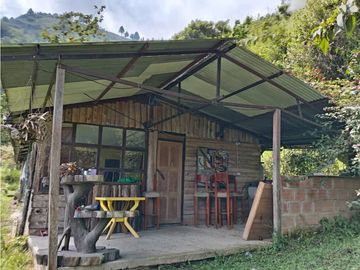 FINCA EN VENTA EN ALTO BONITO MANIZALES | VENTA DE FINCA PRODUCTIVA