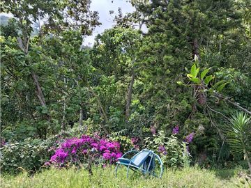 FINCA EN VENTA EN ALTO BONITO MANIZALES | VENTA DE FINCA PRODUCTIVA