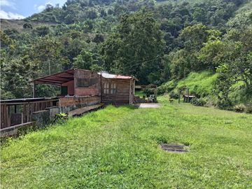 FINCA EN VENTA EN ALTO BONITO MANIZALES | VENTA DE FINCA PRODUCTIVA