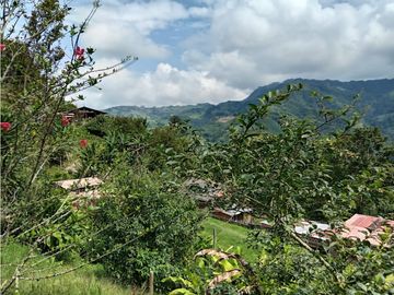 FINCA EN VENTA EN ALTO BONITO MANIZALES | VENTA DE FINCA PRODUCTIVA