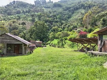 FINCA EN VENTA EN ALTO BONITO MANIZALES | VENTA DE FINCA PRODUCTIVA