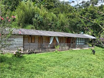 FINCA EN VENTA EN ALTO BONITO MANIZALES | VENTA DE FINCA PRODUCTIVA