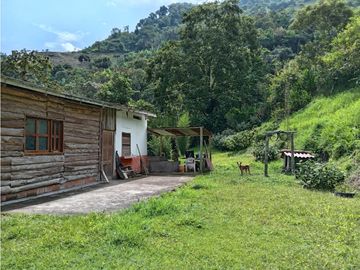FINCA EN VENTA EN ALTO BONITO MANIZALES | VENTA DE FINCA PRODUCTIVA
