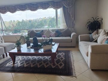 EXCELENTE DEPARTAMENTO A LA VENTA EN PRIVILEGE (V)