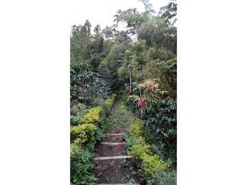 VENTA DE CASA FINCA MONTENEGRO QUINDIO