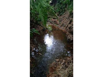 VENTA DE CASA FINCA MONTENEGRO QUINDIO