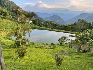Venta Finca En Venecia