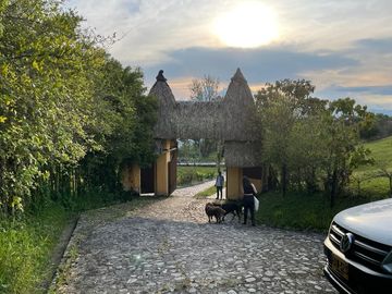 Venta Finca En Venecia