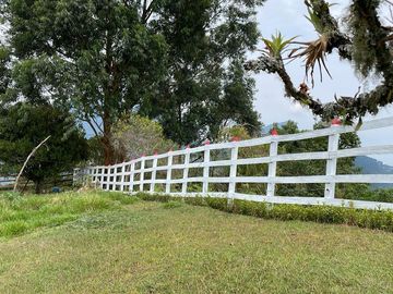 Venta Finca En Venecia