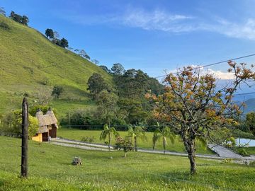 Venta Finca En Venecia