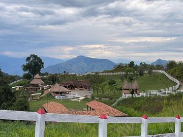Venta Finca En Venecia
