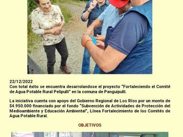 Parcela en venta en PANGUIPULLI