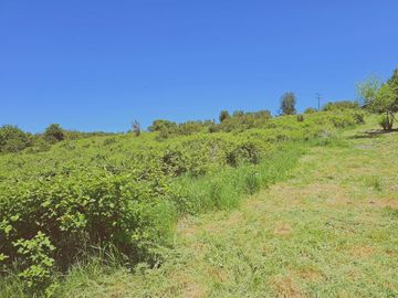 Parcela en venta en PANGUIPULLI