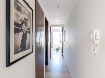 Zilha 42 PH