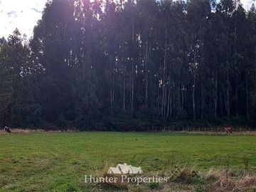 Parcela en Venta en Concepción