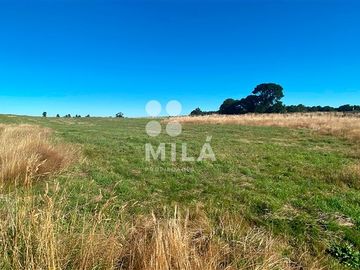Parcela en Venta en A solo 4.3km de Puerto Varas. Tranquilidad y conectividad