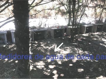 SE RECIBEN OFERTAS!!! PARCELA AGUILA SUR