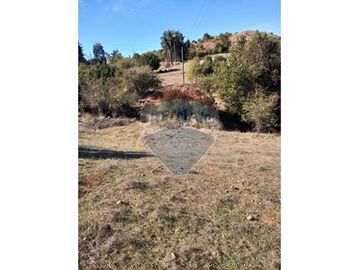 SE VENDEN 18,97 HA SECTOR ESTANCILLA; CUREPTO