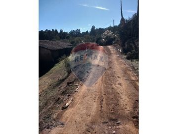 SE VENDEN 18,97 HA SECTOR ESTANCILLA; CUREPTO