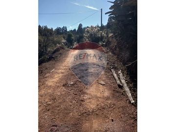 SE VENDEN 18,97 HA SECTOR ESTANCILLA; CUREPTO