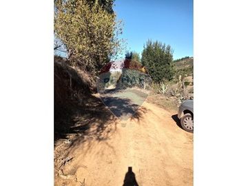 SE VENDEN 18,97 HA SECTOR ESTANCILLA; CUREPTO