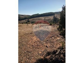 SE VENDEN 18,97 HA SECTOR ESTANCILLA; CUREPTO