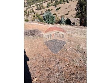 SE VENDEN 18,97 HA SECTOR ESTANCILLA; CUREPTO