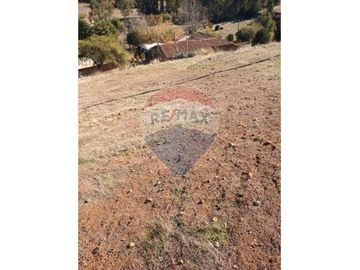 SE VENDEN 18,97 HA SECTOR ESTANCILLA; CUREPTO