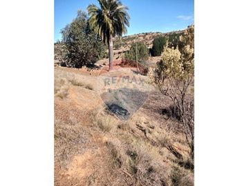 SE VENDEN 18,97 HA SECTOR ESTANCILLA; CUREPTO