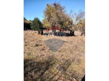 SE VENDEN 18,97 HA SECTOR ESTANCILLA; CUREPTO