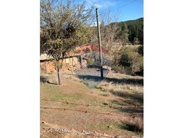 SE VENDEN 18,97 HA SECTOR ESTANCILLA; CUREPTO