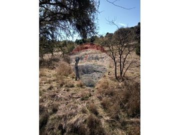 SE VENDEN 18,97 HA SECTOR ESTANCILLA; CUREPTO