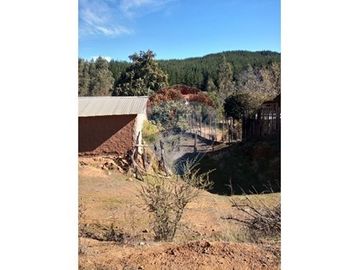 SE VENDEN 18,97 HA SECTOR ESTANCILLA; CUREPTO
