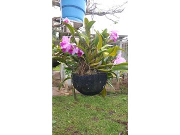 VENTA FINCA OPORTUNIDAD DE PROYECTO ECOTURSTICO EN MELGAR TOLIMA