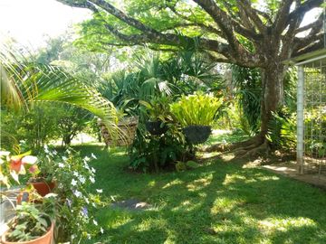 VENTA FINCA OPORTUNIDAD DE PROYECTO ECOTURSTICO EN MELGAR TOLIMA