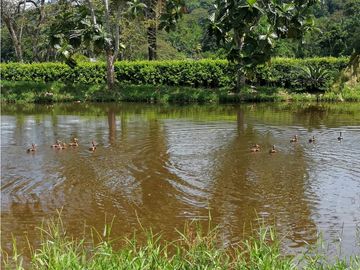 VENTA FINCA OPORTUNIDAD DE PROYECTO ECOTURSTICO EN MELGAR TOLIMA