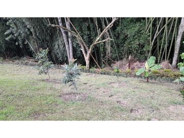 Se vende casa campestre en Tebaida, Quindio.