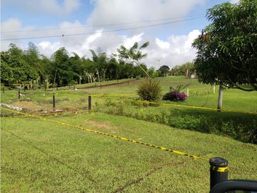 🌄Lotes en parcelación vía Alcalá - Quimbaya desde $65 millones